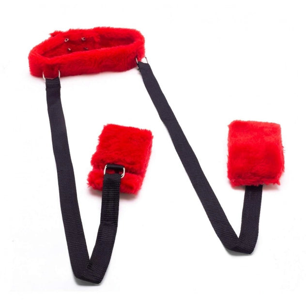 Coleira em Pelúcia + Amarras para Pernas